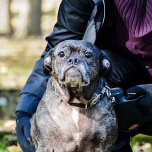 Meet your Posher, Emmy